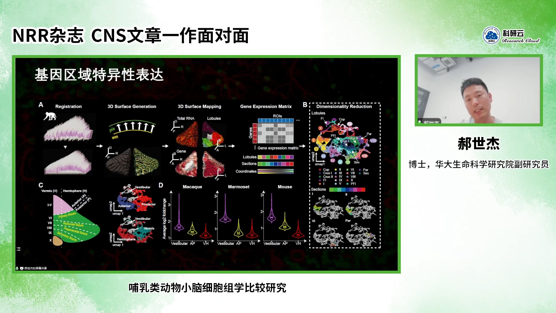 20241017华大生命科学研究院郝世杰哺乳类动物小脑细胞组学比较研究哔哩哔哩bilibili