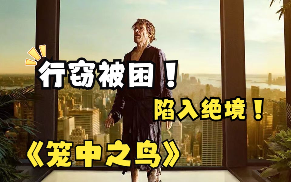 《笼中之鸟》:艺术品大盗行窃失败被困!美丽的家变成冷漠的囚牢!