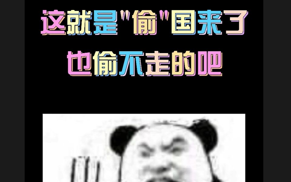 这是偷国 也偷不走的吧哔哩哔哩bilibili