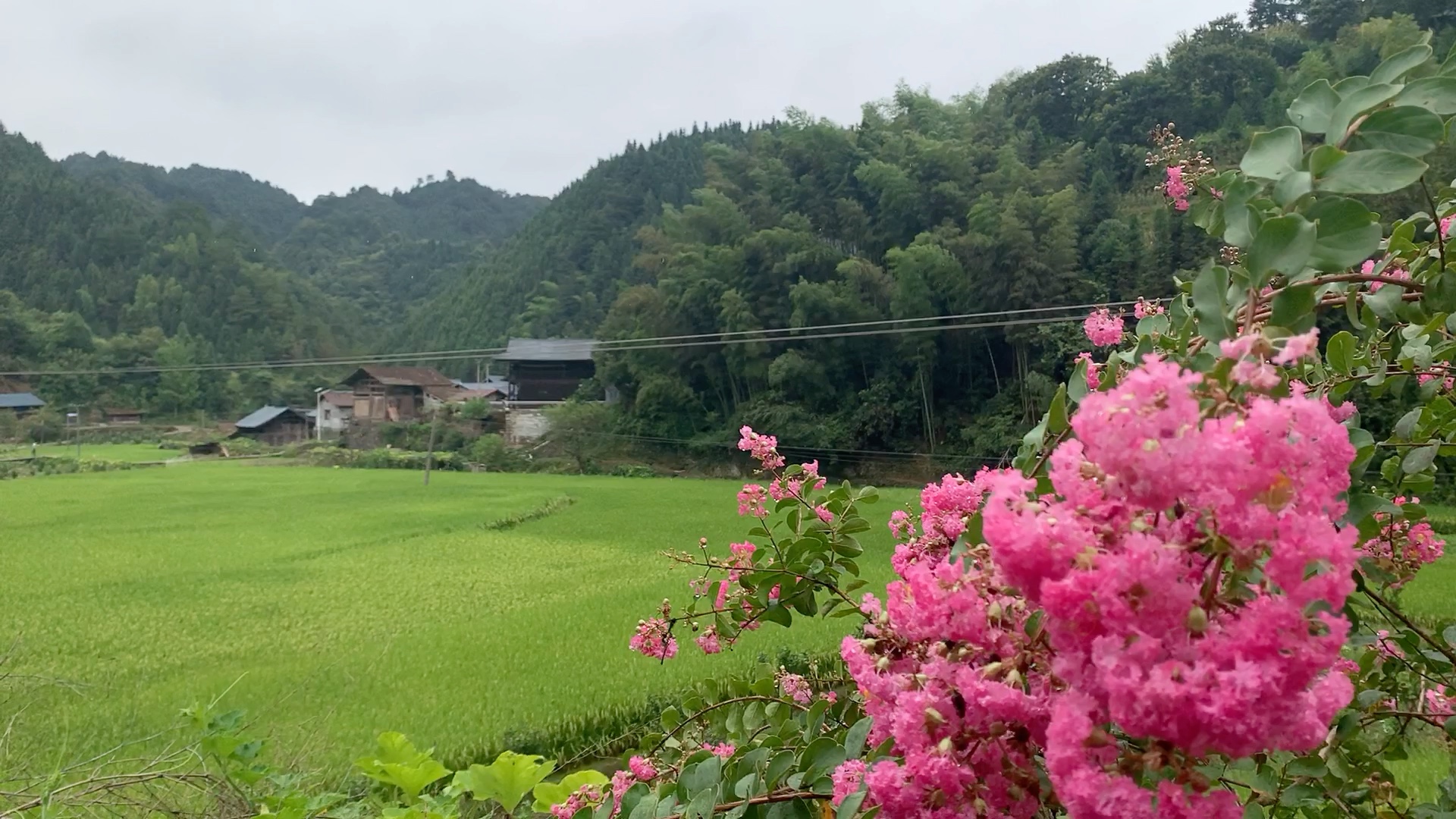 [图]我想回家种地