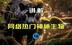 Télécharger la video: 【网络热门神秘生物16】拥有瞬间移动的幻影猫！？英国流传百年的黑色大猫究竟是什么？