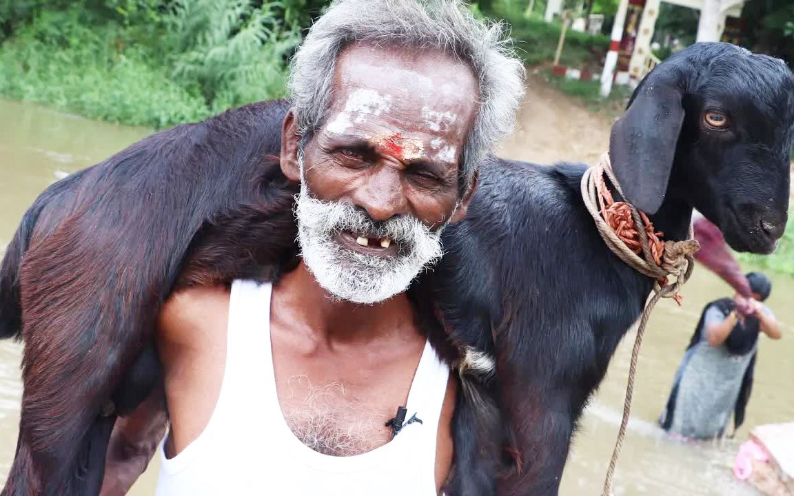 8.30 06 印度六爷合集