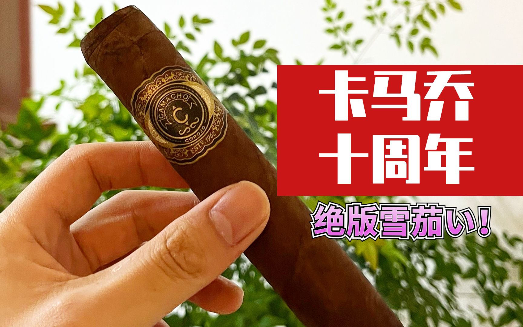 camacho卡马乔10周年雪茄品吸(特邀嘉宾:西蒙卡马乔)哔哩哔哩bilibili