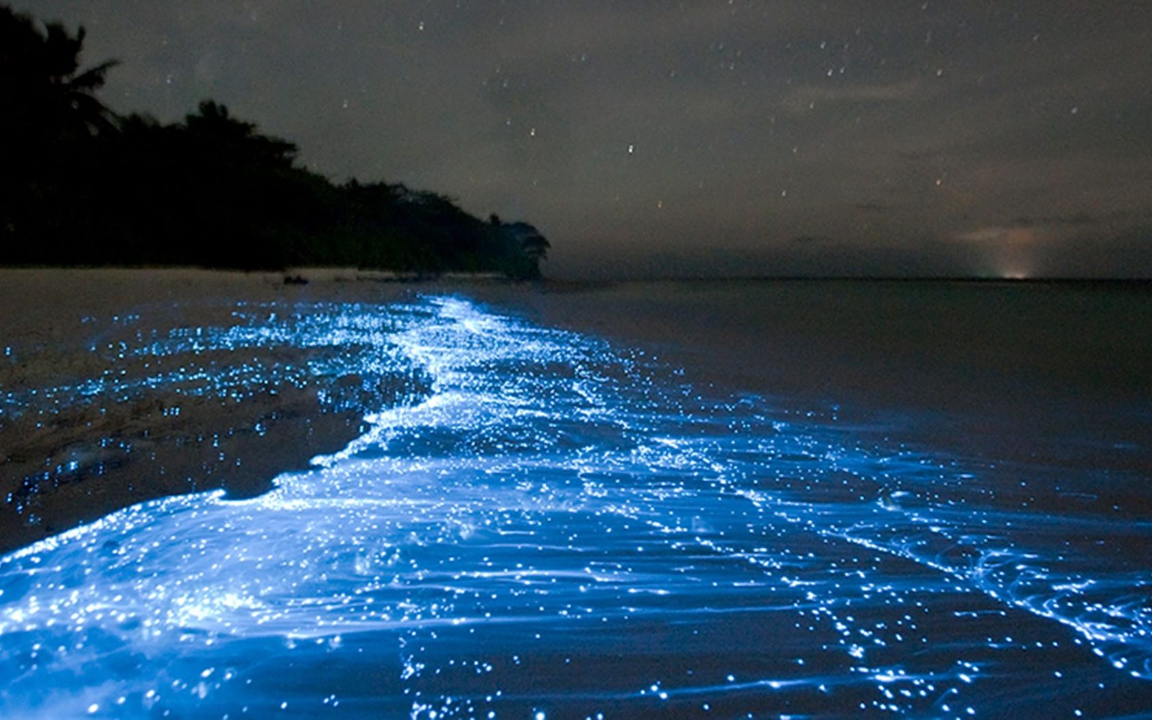 [图]马尔代夫 Vaadhoo岛的海滩 星海Sea of Stars