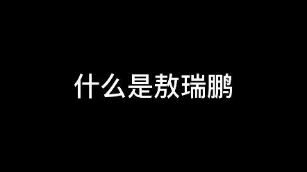 什么是敖瑞鹏哈哈哈哈哈哈哈哈(我是很认真的宣传噢)哔哩哔哩bilibili