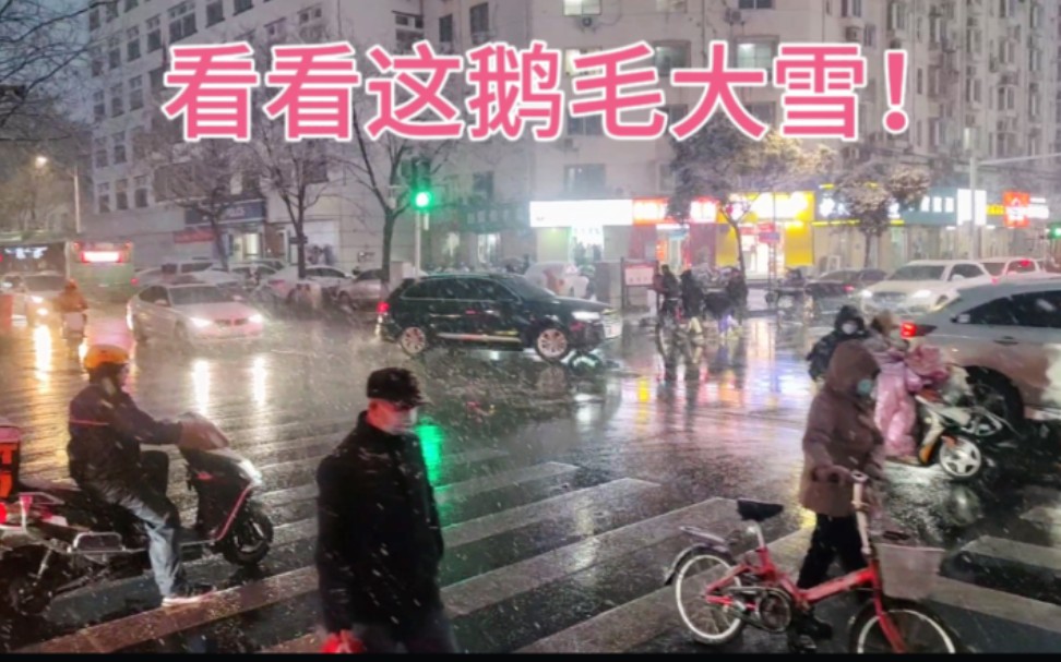 [图]郑州的第一场雪下的如此之大，希望这场雪给全国人民带来好运！