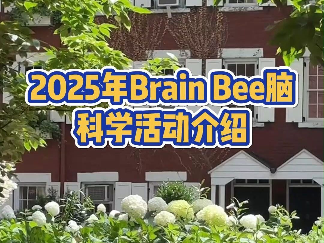 2025年Brain Bee脑科学活动说明哔哩哔哩bilibili