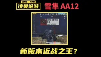 Download Video: 雪隼AA12霰弹枪，新版本近战之王？