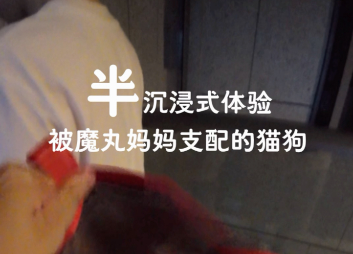 没想到家里最捣蛋的竟不是猫狗..