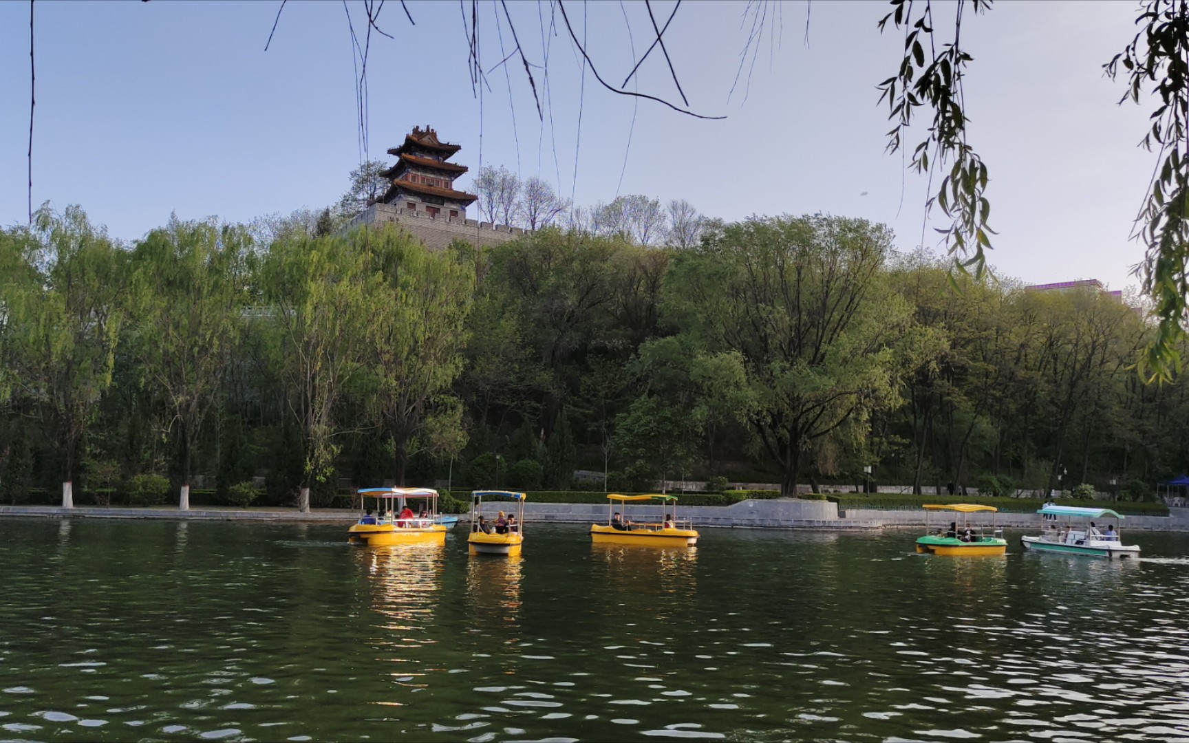 活动作品甘肃平凉八景之一柳湖公园