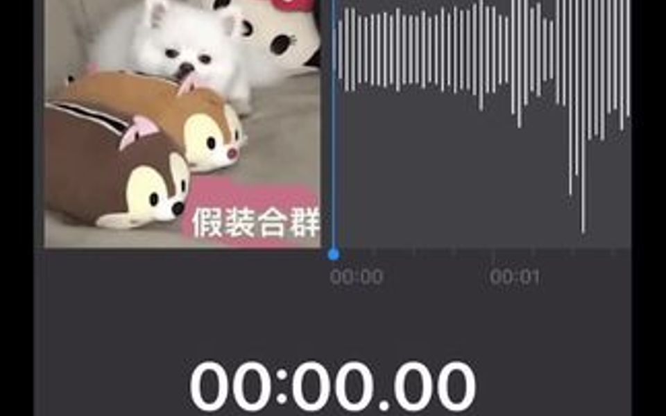 新歌来啦!哔哩哔哩bilibili