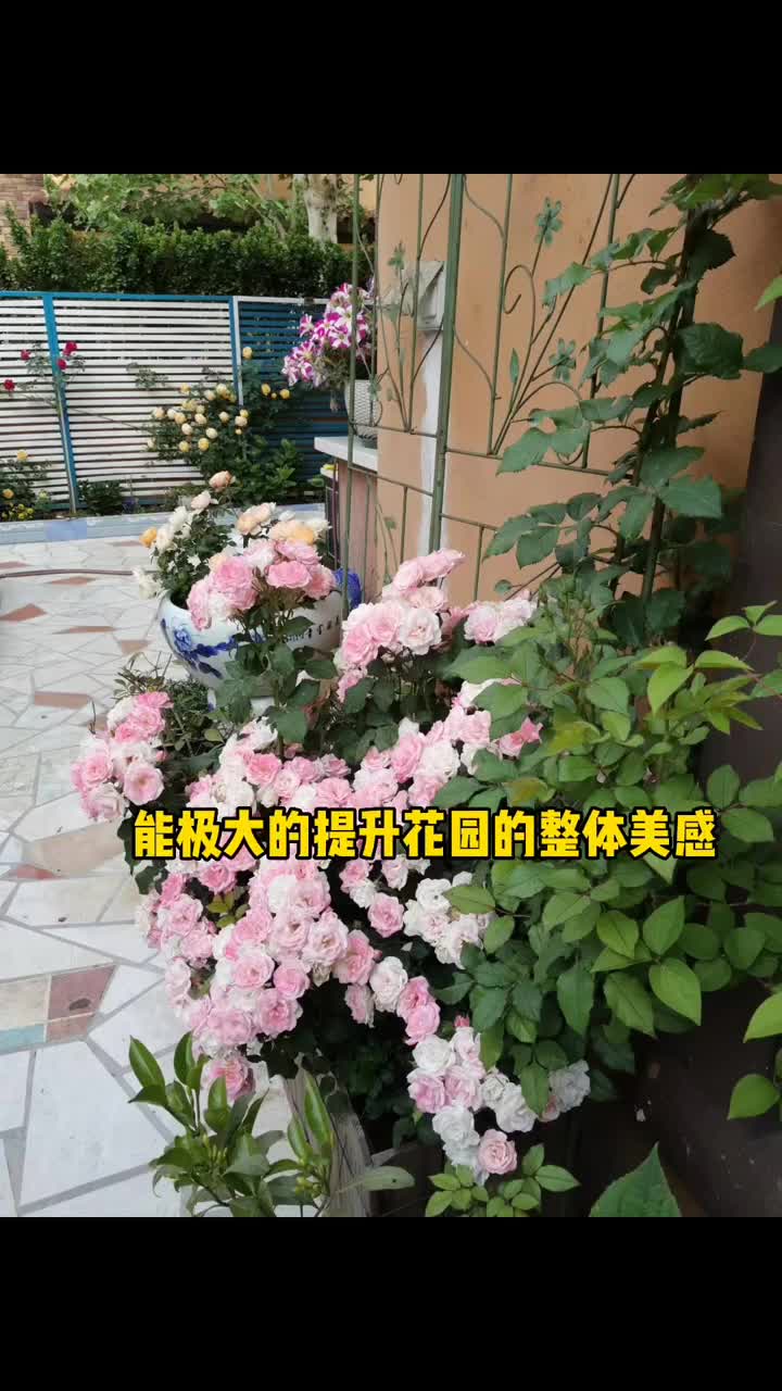 自制法式花园洗手台全教程花园洗手池法式花园哔哩哔哩bilibili