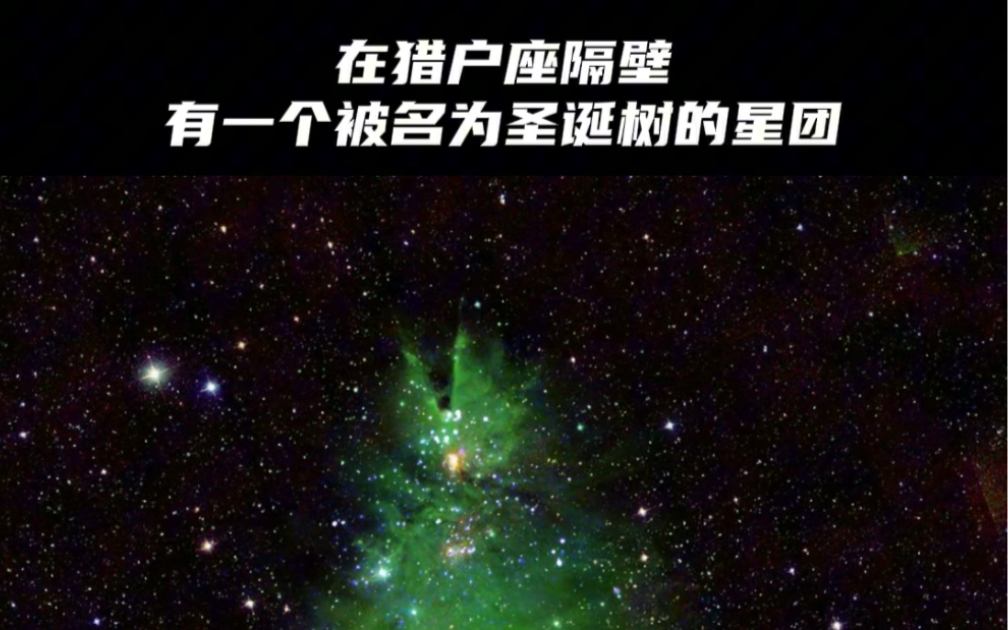 圣诞树星团图片