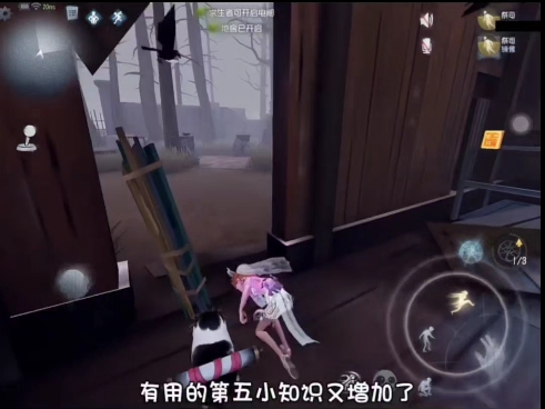 第五人格小知识第五人格