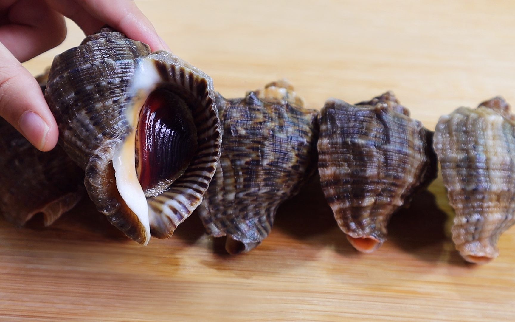 【蒜蓉烤海螺】去烧烤店老公必点菜,今天满足他