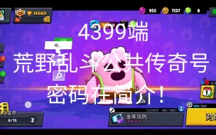 Download Video: 荒野乱斗公共账号，账号密码在简介（4399端）