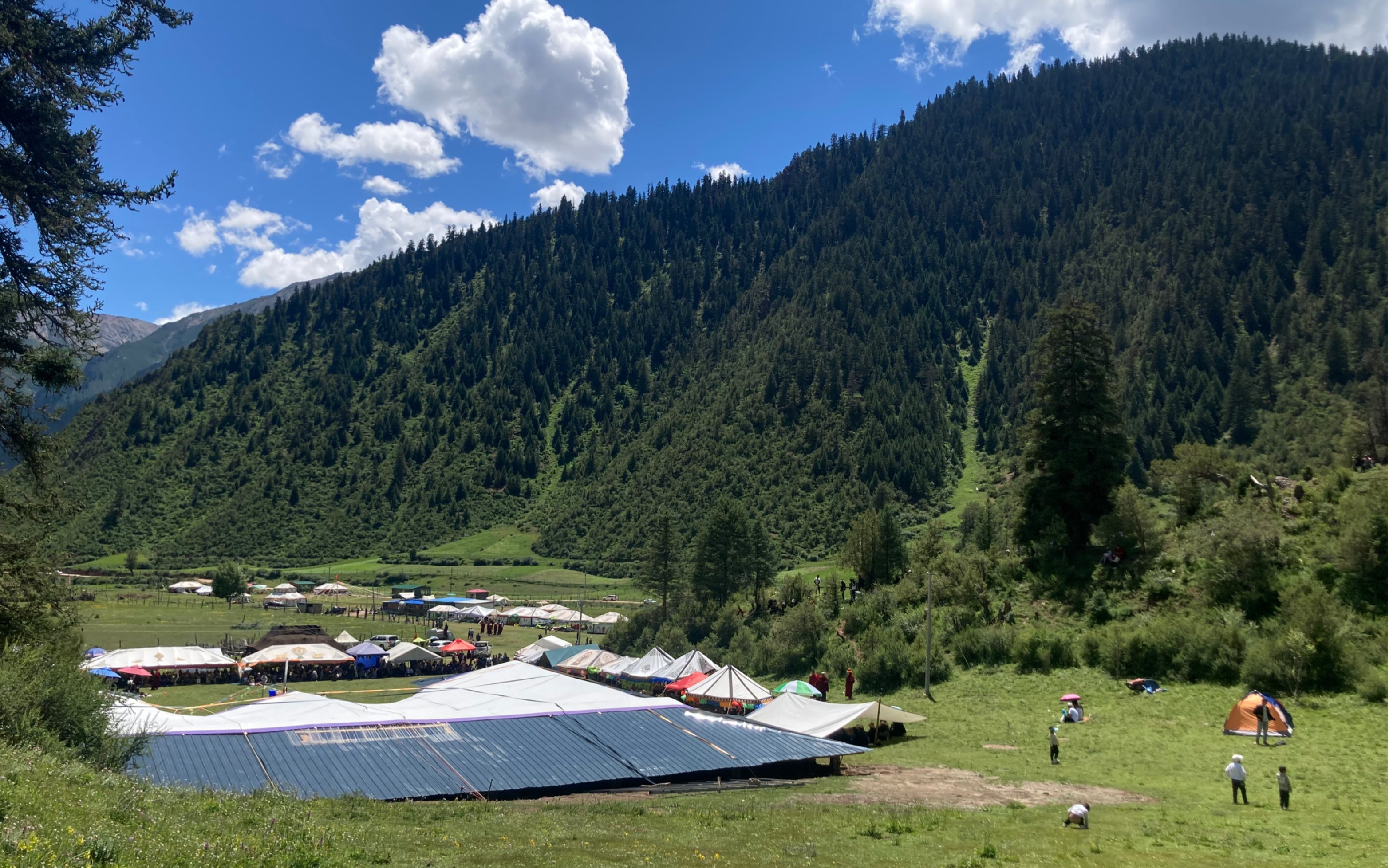 乡村美景 欢乐野营