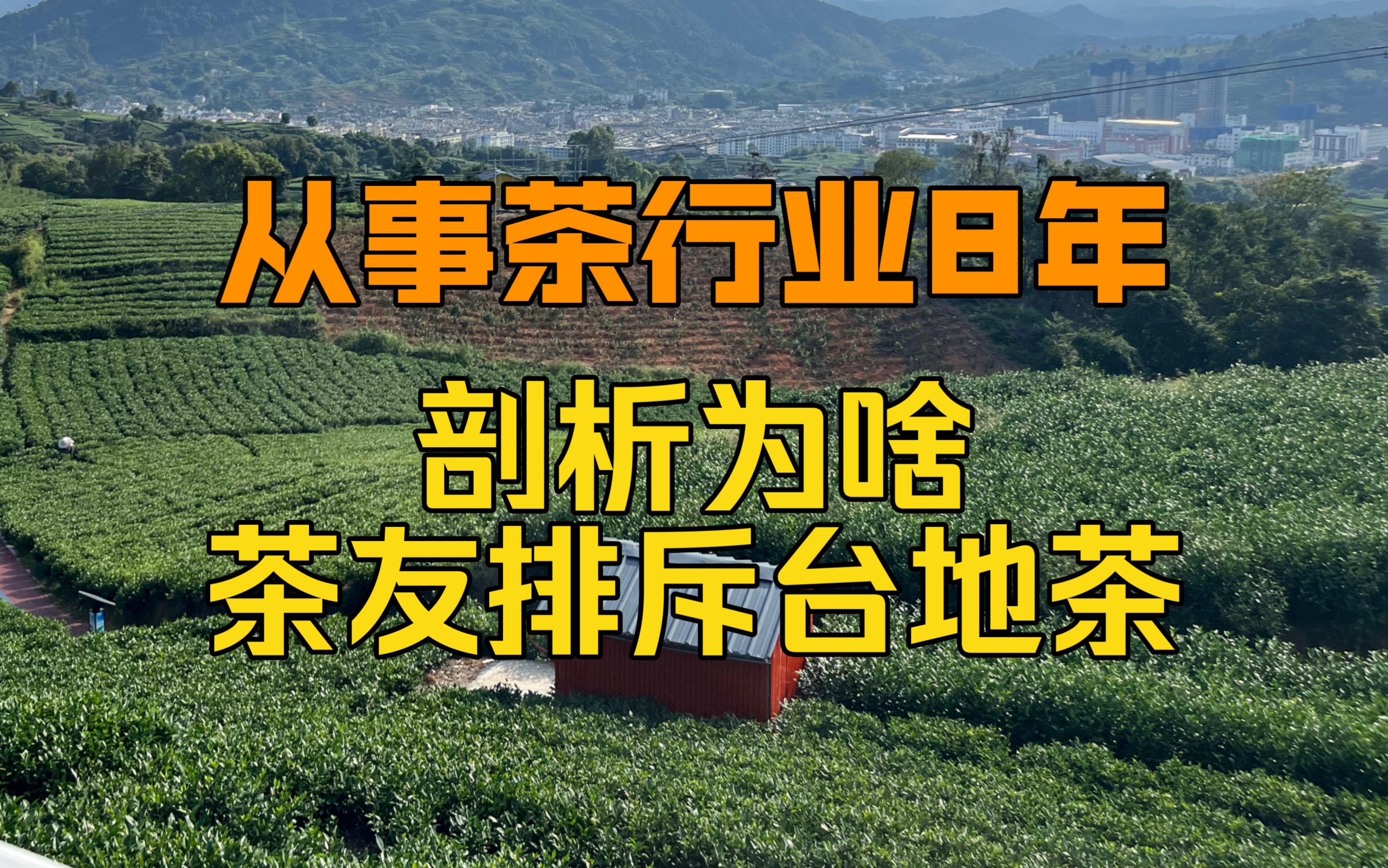 惊人真相!为何茶友都爱排次台地茶?喝了多年的茶,你真的懂吗?哔哩哔哩bilibili