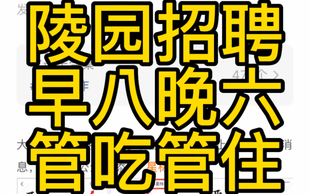 陵园招聘守墓人:早八晚五、包吃住、没有KPI!社恐00后爱了!哔哩哔哩bilibili