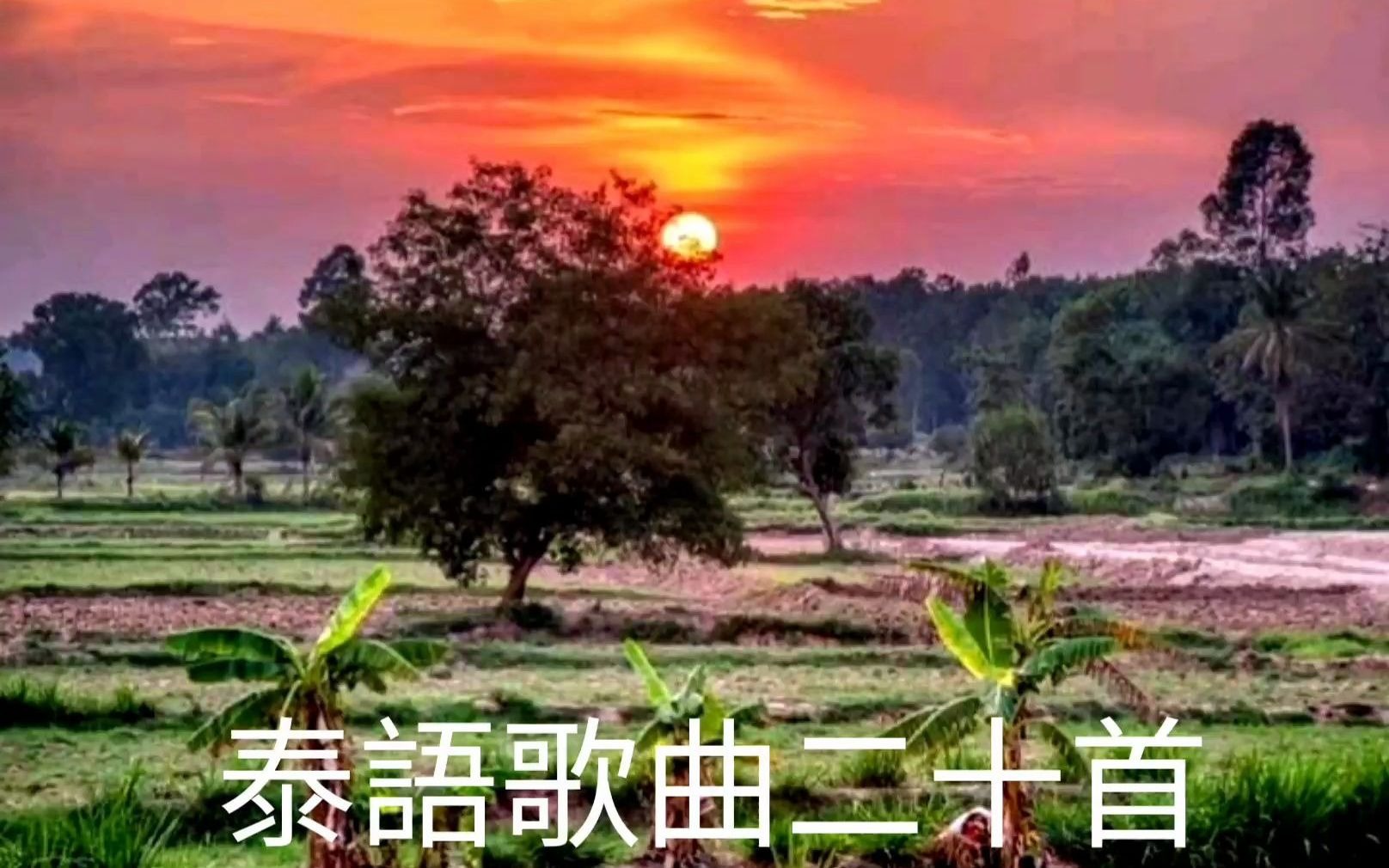 好聽的二十首泰語歌_哔哩哔哩_bilibili
