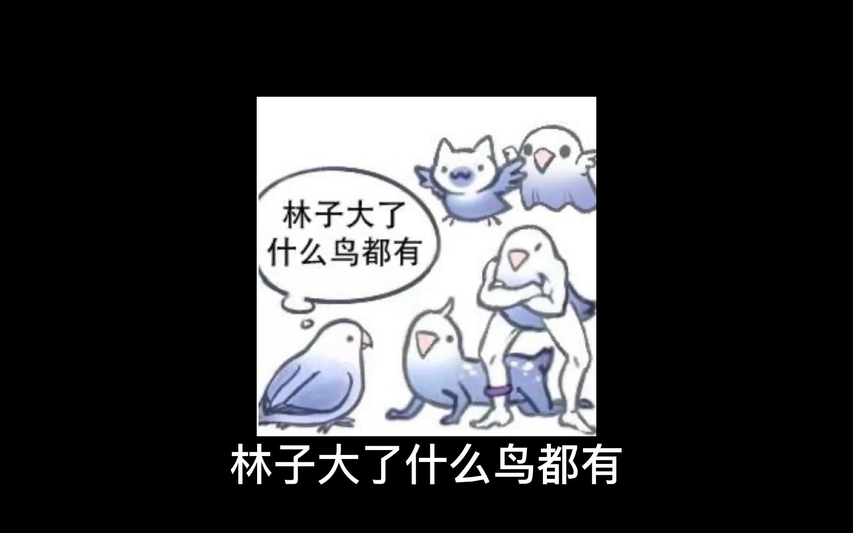 林子大了什麼鳥都有