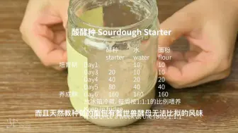 家庭版天然酵母制作