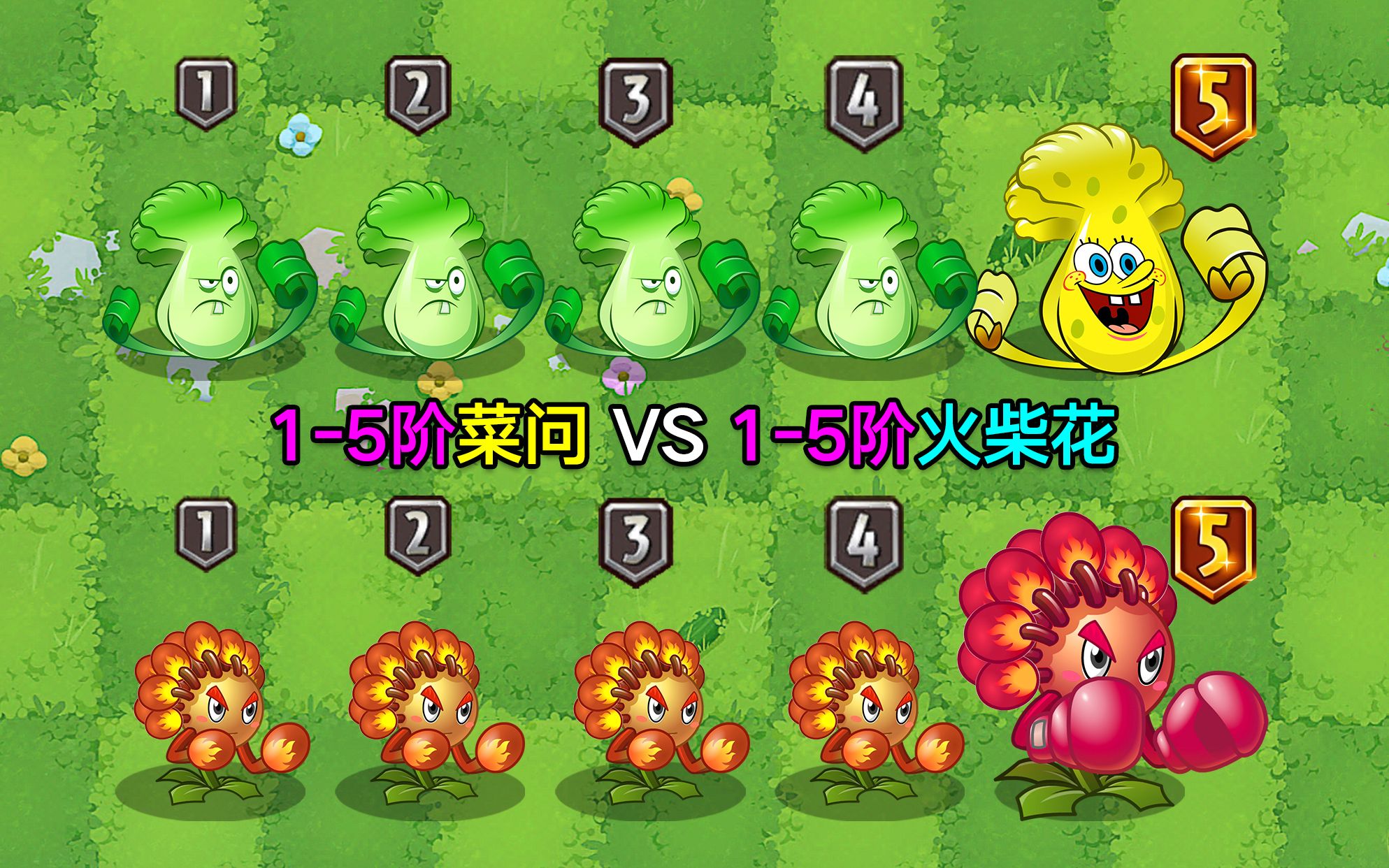 15阶菜问VS15阶火柴花!拳击手的较量!你支持谁?PVZ