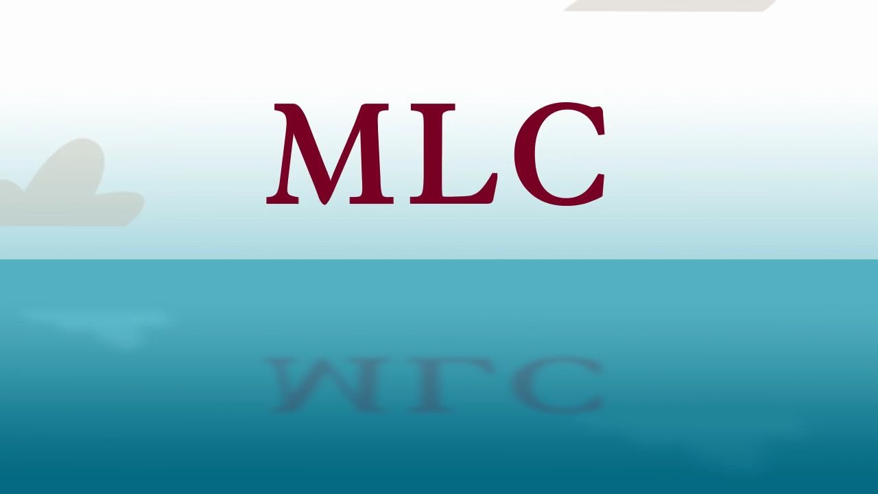 [图]Overview of the Maritime Labour Convention (MLC概述)