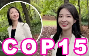 Download Video: 【张扬Vlog】COP15开幕！你们见过要长30年才开花的树吗？