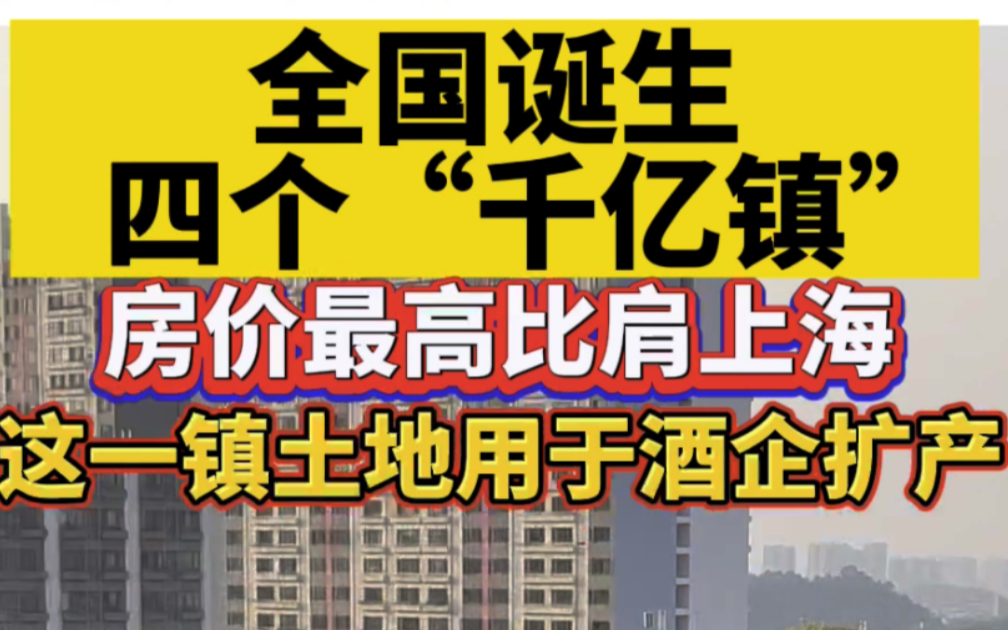 全国诞生四个“千亿镇”!房价最高比肩上海,这一镇土地用于酒企扩产哔哩哔哩bilibili