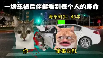一场车祸后你能看到其他人的寿命…