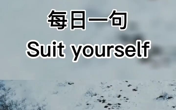 一天一句英语口语,一年英语脱口而出 Suit yourself 随便你!哔哩哔哩bilibili