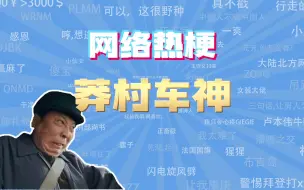 Tải video: 【网梗课代表】莽村车神是什么梗？