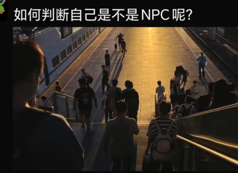 怎么判断自己是不是NPC呢..哔哩哔哩bilibili