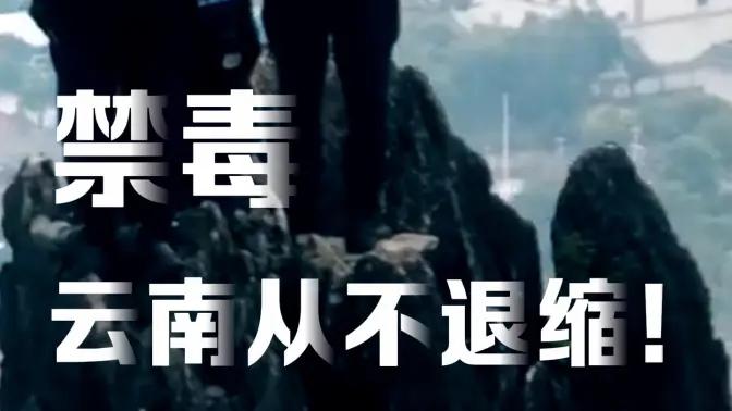 今天,当我们把“禁毒”当成新闻里一闪而过的关键词,他们却把“无毒”当成一辈子要完成的作业,用鲜血把答案写在了边境线上。