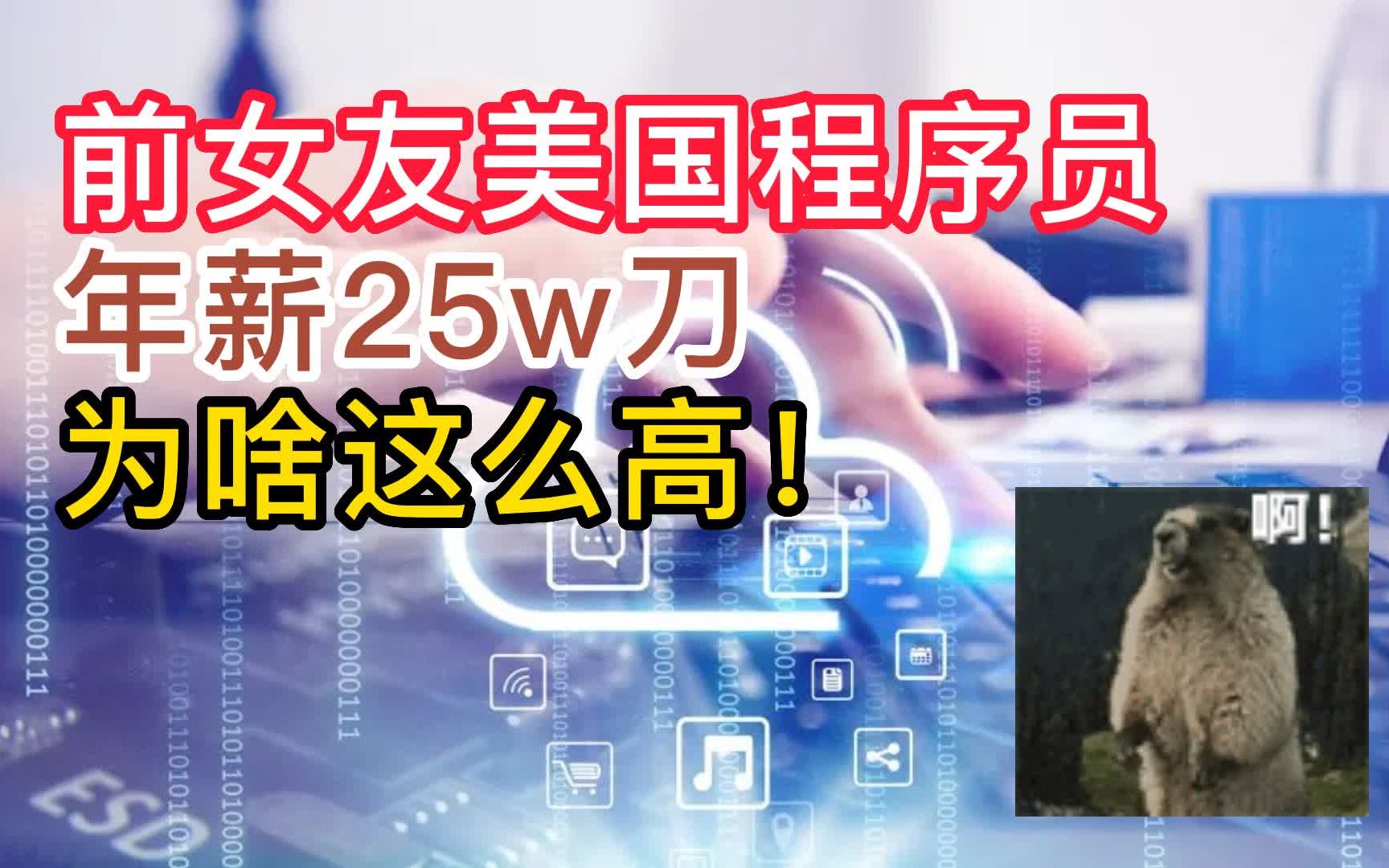 年薪24w刀,美国程序员为啥高的离谱?哔哩哔哩bilibili