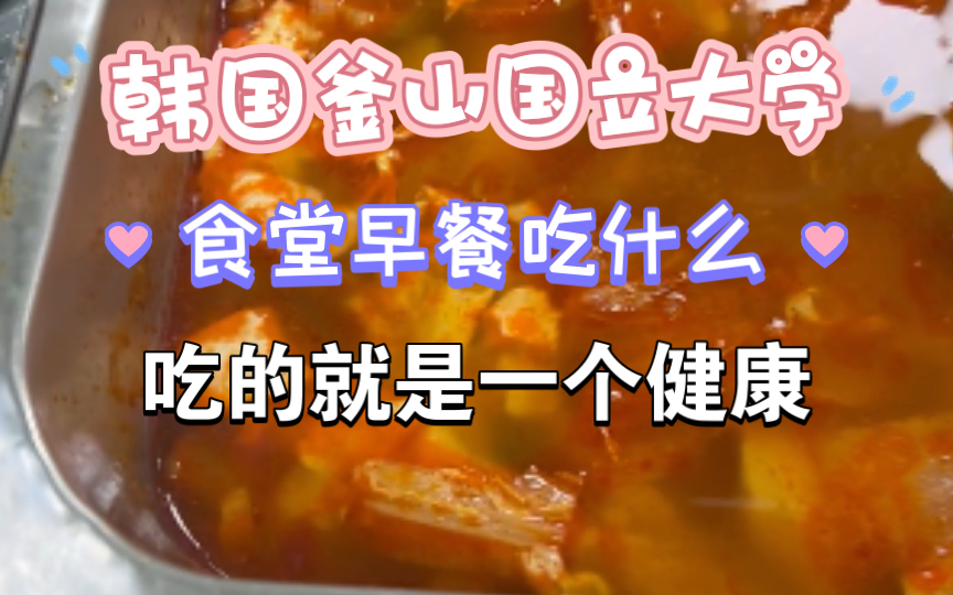 韩国釜山国立大学食堂.20 烤牛肉饼、鸡蛋豆腐汤、清炒西葫芦、紫菜,营养搭配均衡.哔哩哔哩bilibili