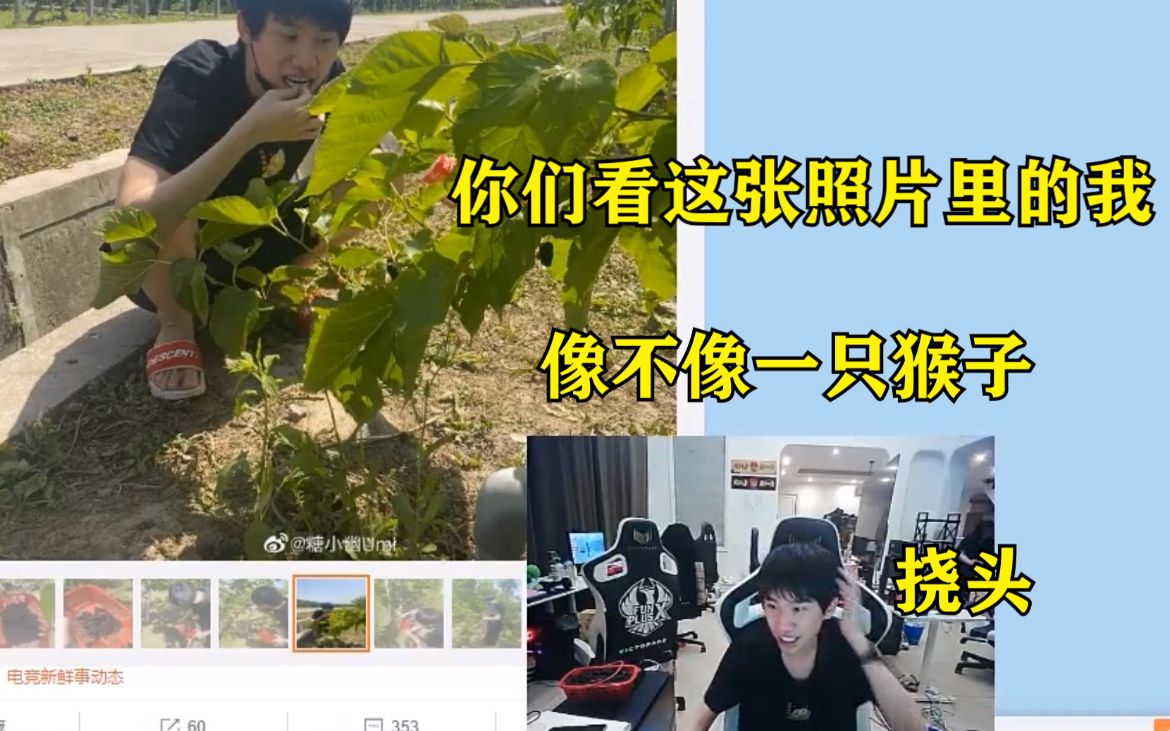 doinb直播看自己和老婆的旅游照:兄弟们你们看我像不像个猴子?