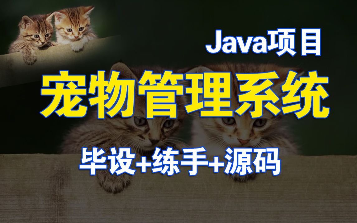 Java项目】手把手教你写一个基于Java web的宠物管理系统(源码+数据库)毕设设计Java实战项目Java毕设哔哩哔哩bilibili