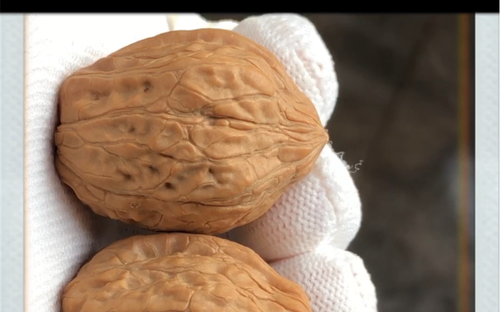 野生肉舍利!异形!塑料皮玉化骨质