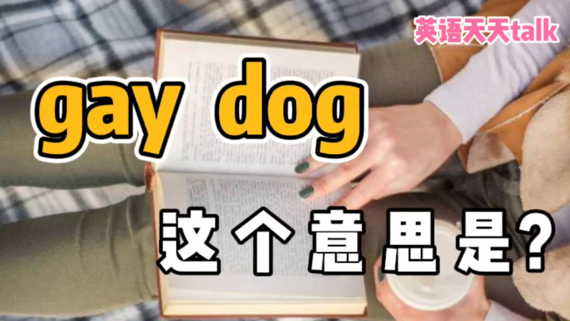 老外说你是“gay dog”,不是你想的意思,千万别误会哔哩哔哩bilibili