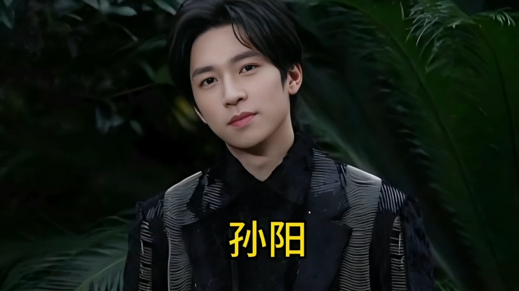 孙阳24～34岁荧幕变化,孤注一掷里的阿才,香港男演员,大器晚成