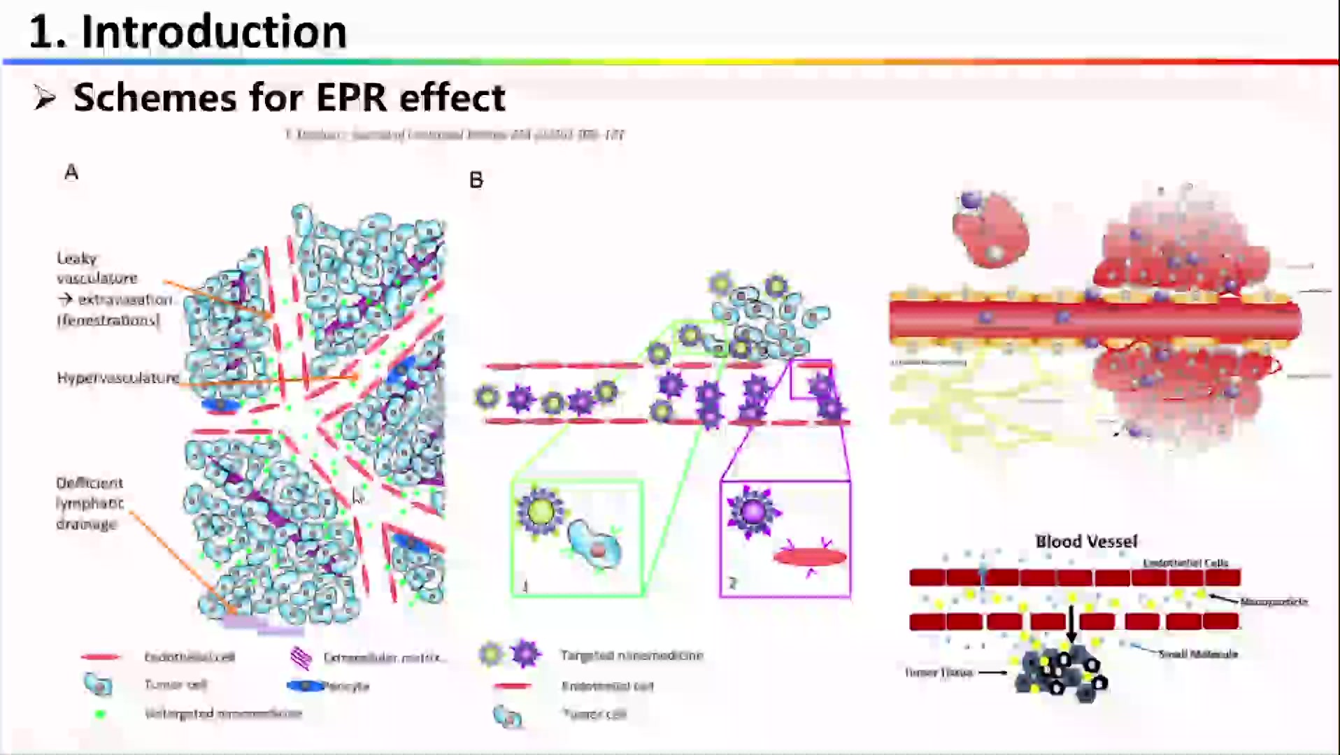 Nature Material【纳米颗粒进入肿瘤细胞的新方式】之挑战EPR效应哔哩哔哩bilibili