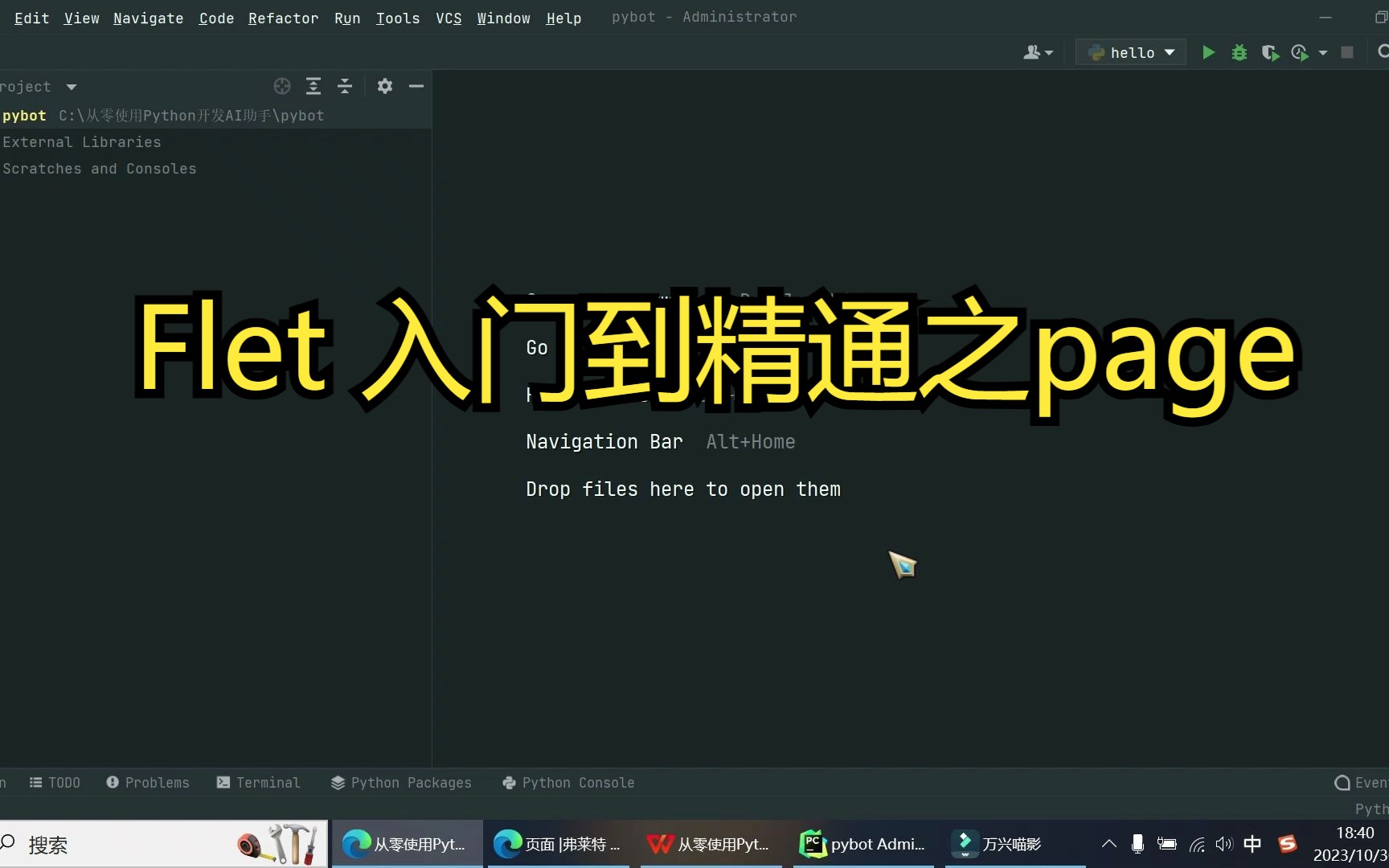 Flet入门到精通之01页面哔哩哔哩bilibili