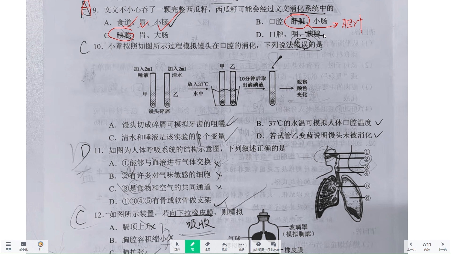 七年级/初一下册生物期末试卷精讲
