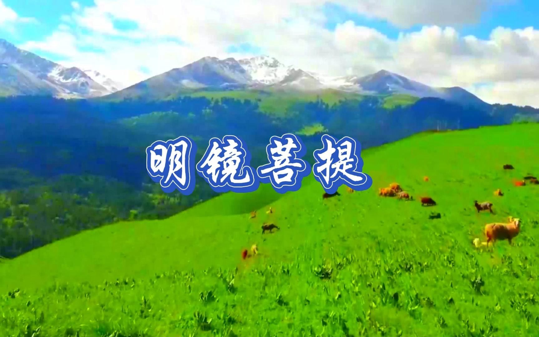 太极拳背景音乐,《明镜菩提》加长版,他强任他强,青风拂山冈哔哩哔哩bilibili