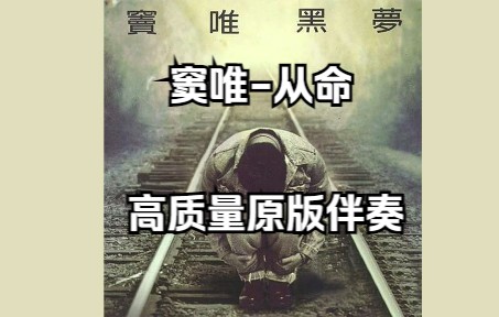 从命  窦唯 全网最高质量原版伴奏哔哩哔哩bilibili