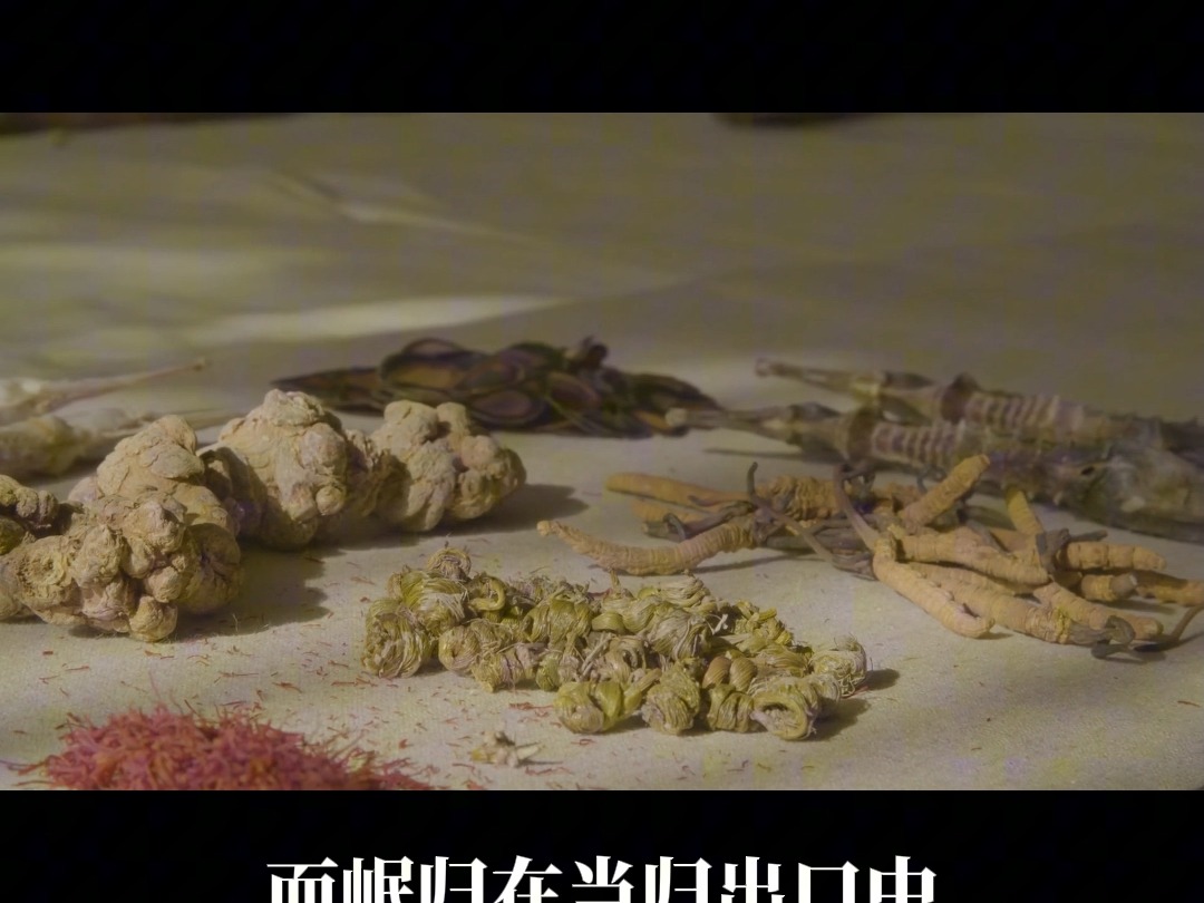 为什么现在的很多中医,开方抓药一抓几大包,却仍旧看不好?哔哩哔哩bilibili