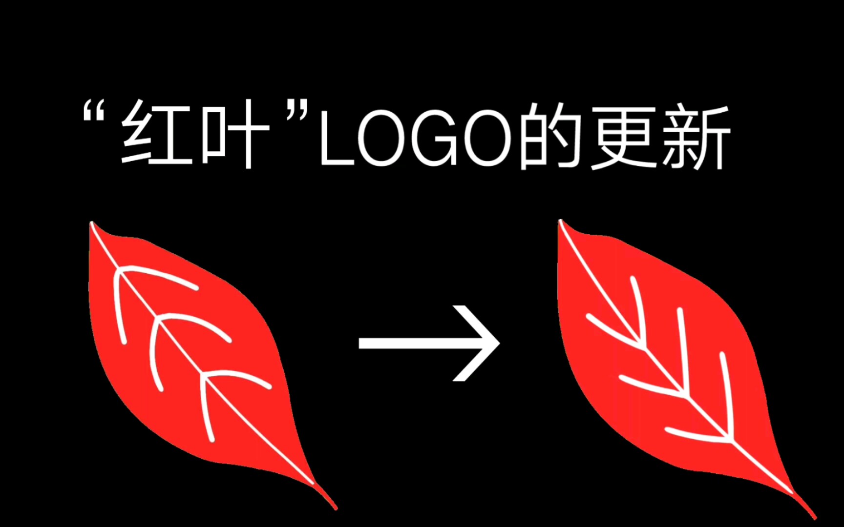 叶脉被画反?“红叶”LOGO 更新哔哩哔哩bilibili