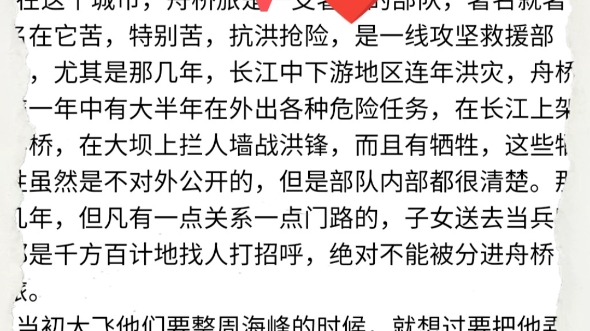 军区番外6篇 舟桥旅 伊村饭店 野战 特种兵的假期 等……哔哩哔哩bilibili